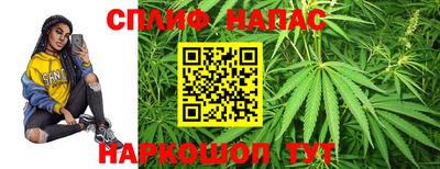 мдпв Нальчик
