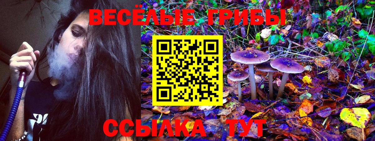 Галлюциногенные грибы прущие грибы Углич